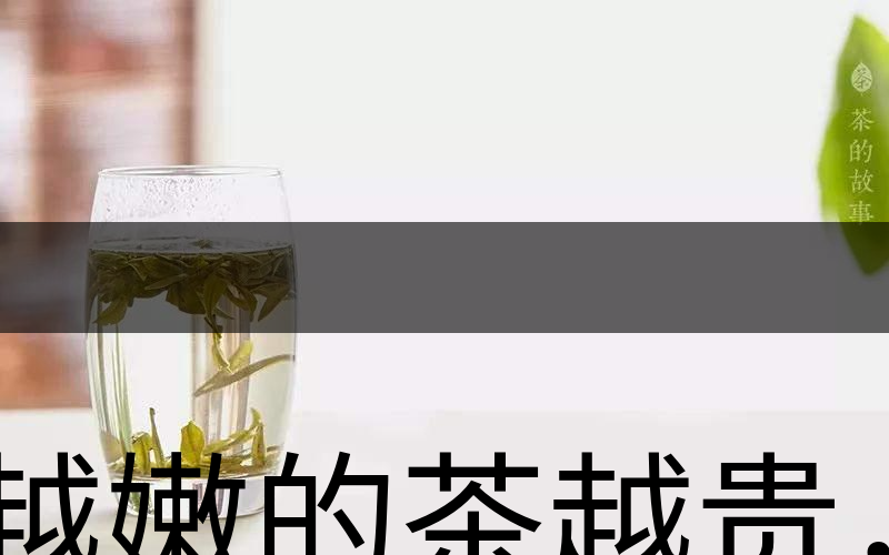越嫩的茶越貴，但越貴的茶就越好嗎？-2
