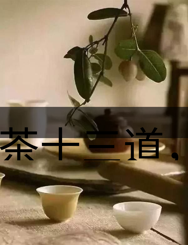 喝茶十三道，道道皆精華！-2