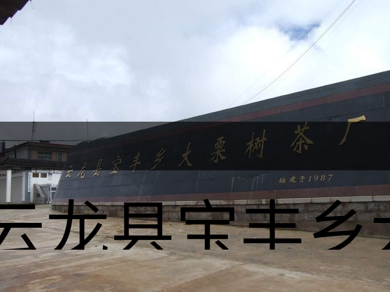 云龍縣寶豐鄉(xiāng)大栗樹(shù)茶廠簡(jiǎn)述-1