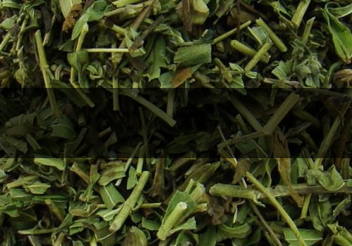 黃芩茶多少錢一斤-什么人不適合喝-1