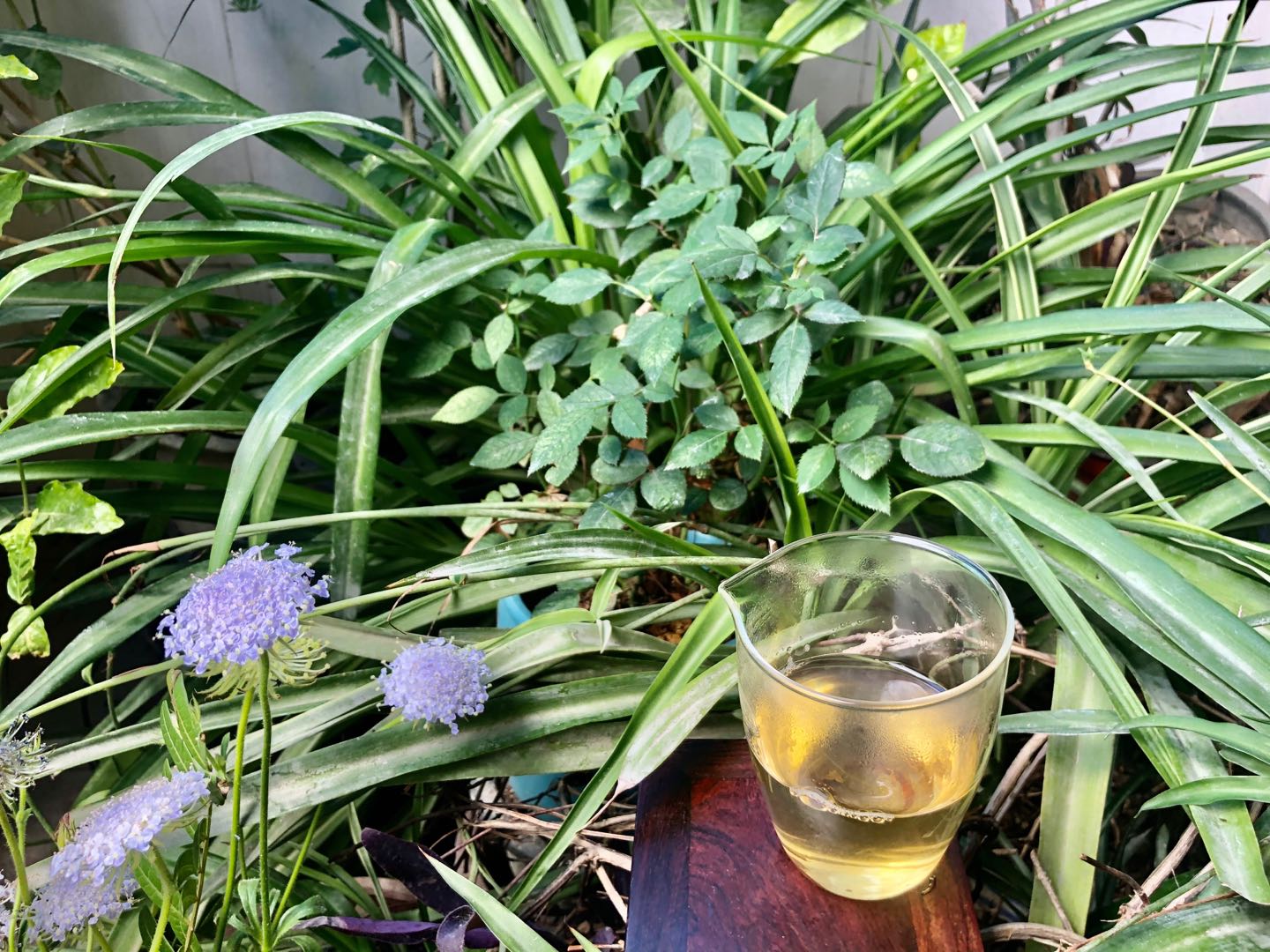 中國這么多茶類，你覺得哪種茶最好喝？