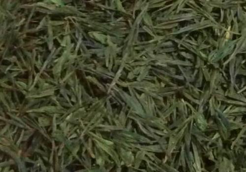 什么是海青茶？沖泡手法詳細(xì)教學(xué)！