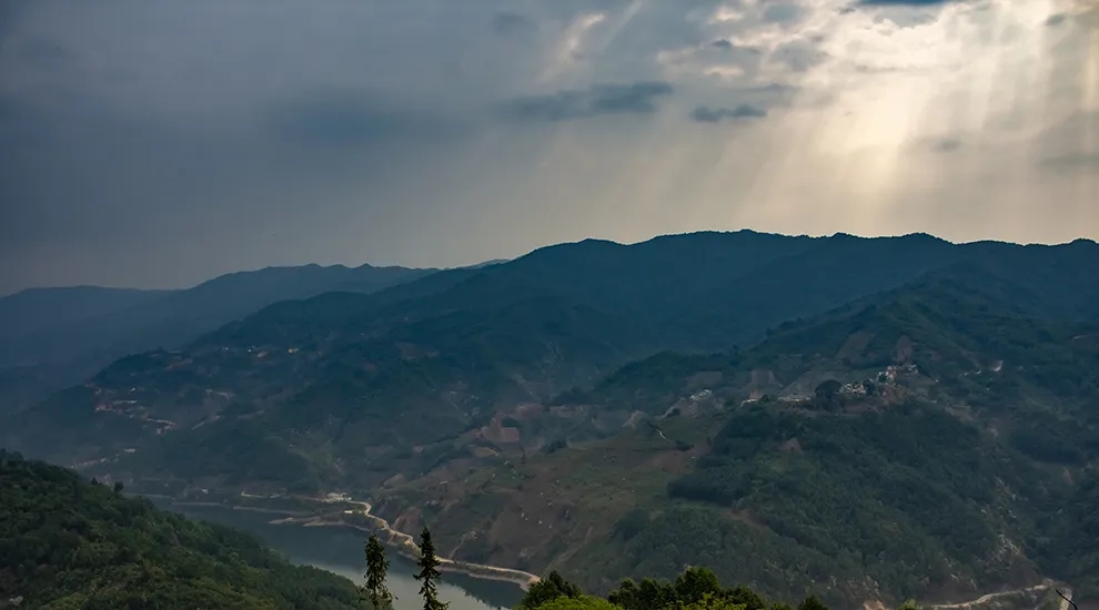 2021年磨烈：風(fēng)頭正勁的后起之秀，到底有何特點(diǎn)？