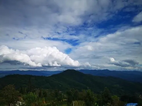 2021年那罕古樹(shù)秋茶口感？