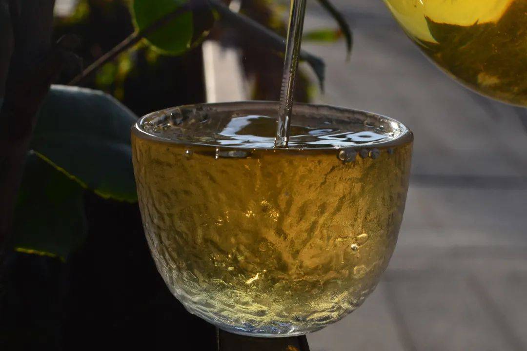 2021班章茶區(qū)壩卡竜古樹秋茶口感是什么？