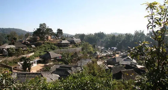 2021年班章茶區(qū)壩卡竜古樹秋茶多少錢一公斤？