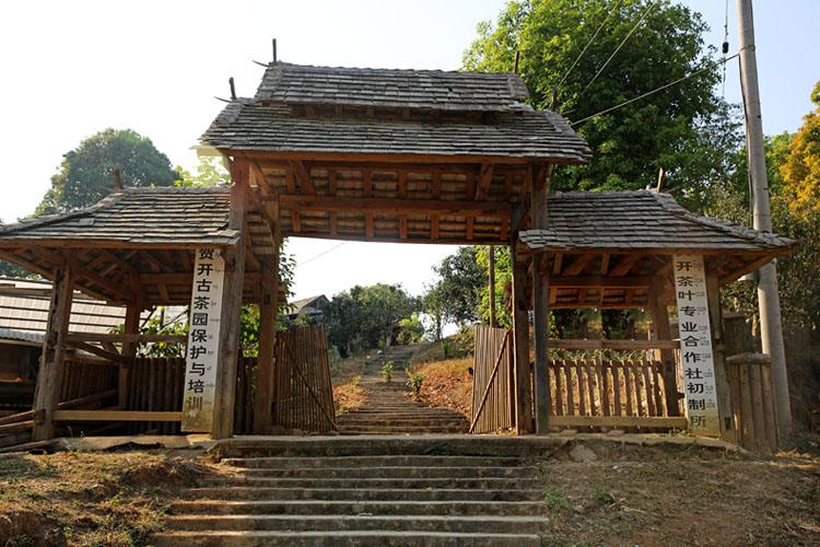 2021年賀開古樹秋茶特點(diǎn)？