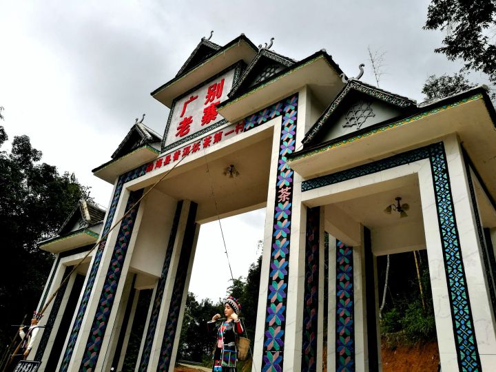 2021年廣別老寨古樹(shù)秋茶特點(diǎn)?