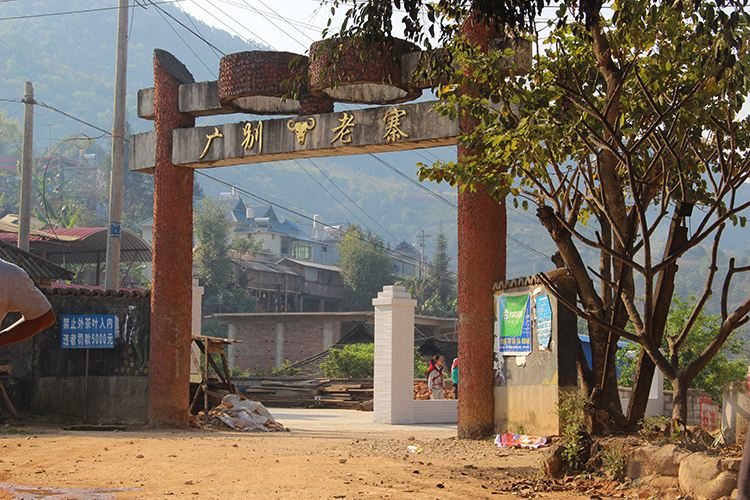 2021年廣別老寨古樹秋茶口感？