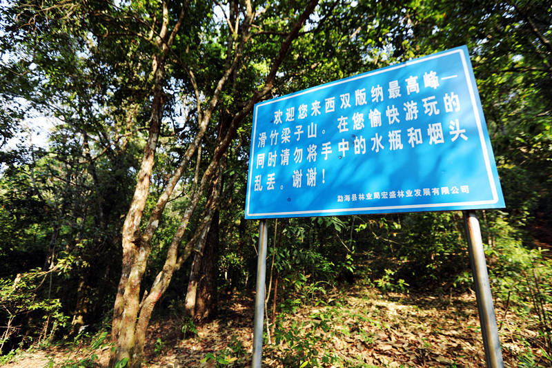 2021年滑竹梁子古樹秋茶價(jià)格？