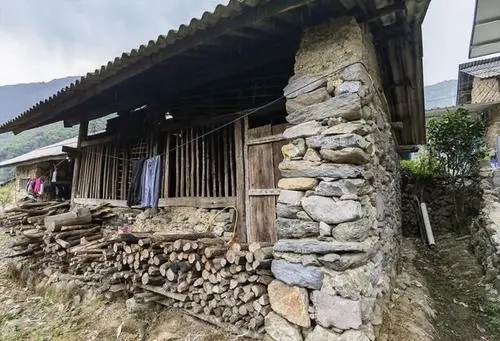 2022年景谷黃草壩古樹春茶特點(diǎn)是什么？