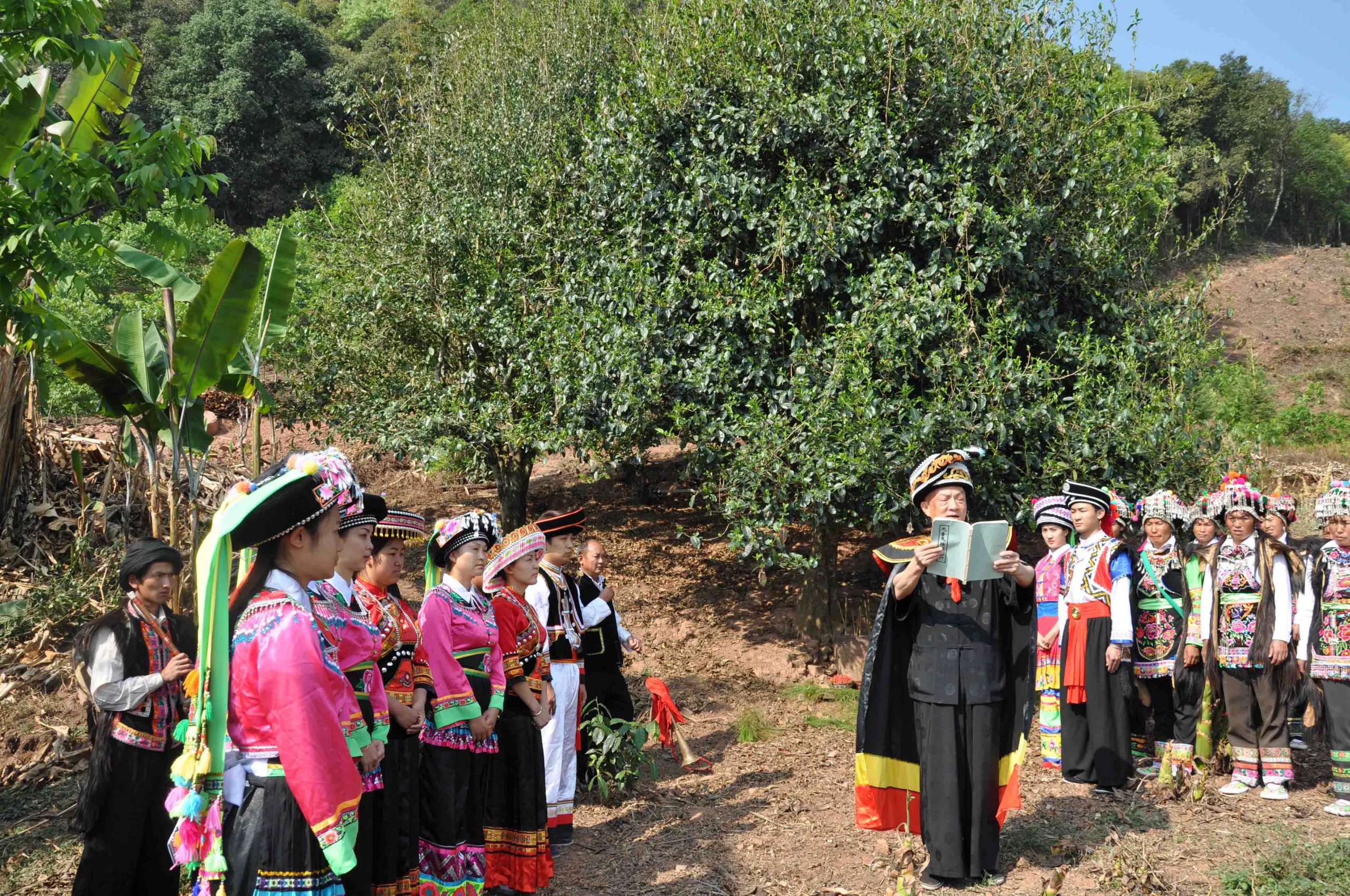 2022年景東御筆古樹春茶多少錢一公斤？