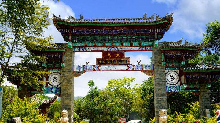 2022年易武正山在哪？易武正山是什么意思？