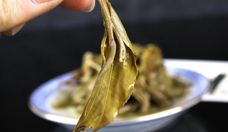 2022年冷水河古樹春茶價格？