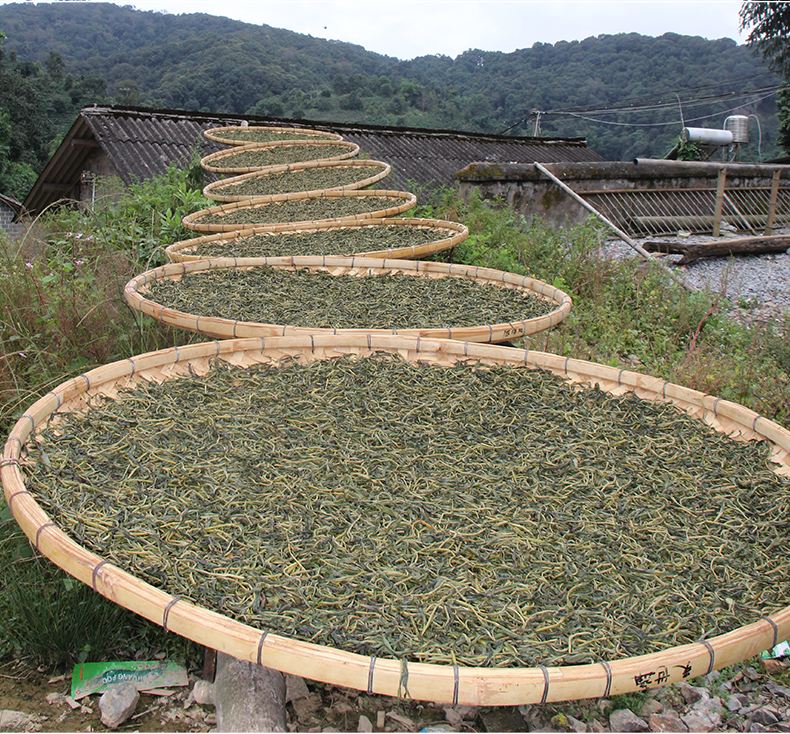 2022年白沙河古樹春茶價(jià)格？