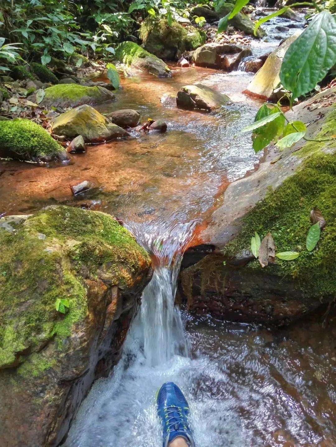 2022年銅箐河古樹春茶多少錢一公斤？