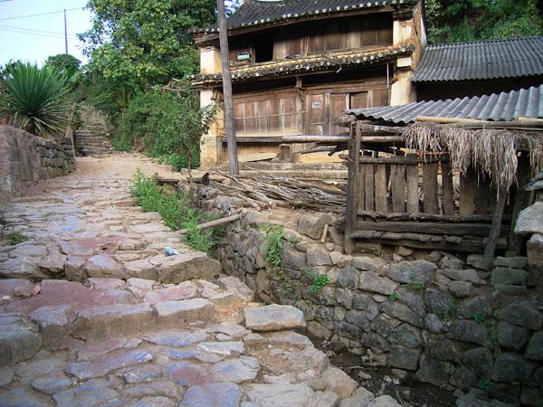 2022年蠻磚古樹(shù)春茶特點(diǎn)？