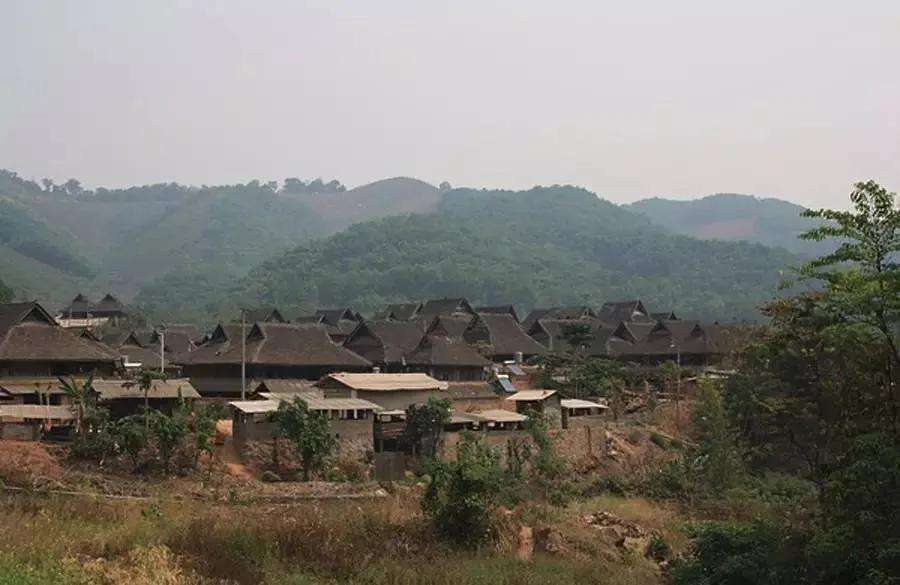 2022年革登古樹春茶特點(diǎn)？