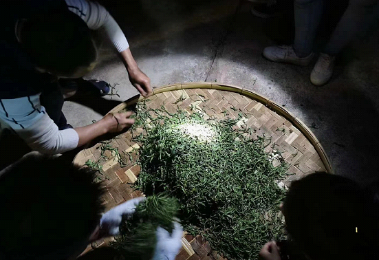 普洱茶非遺傳承人陳財，一鍋茶炒出10萬元