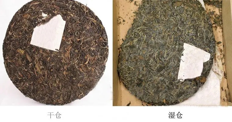 普洱茶怎么分辨干濕倉？