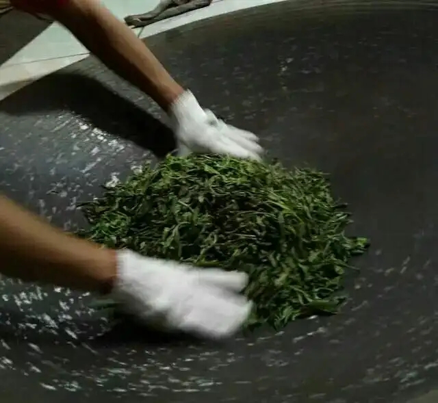 普洱茶殺青怎么提香?