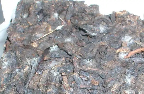 ?普洱茶發(fā)霉了怎么辦？教你妙招應(yīng)對發(fā)霉的普洱茶！