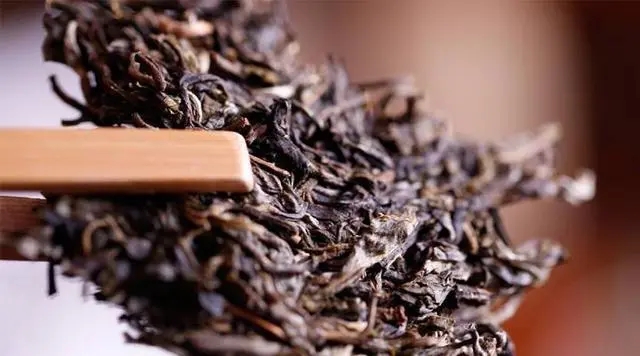 普洱生茶好還是普洱熟茶好喝？如何挑選適合自己的普洱茶？