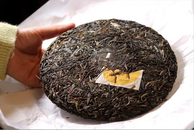 犀牛塘 | 古韻留香，帕沙之王