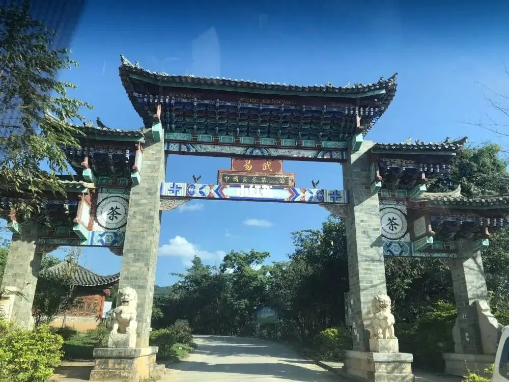 古樹茶年份越老，茶葉就越好嗎？影響茶葉品質(zhì)的因素有哪些？