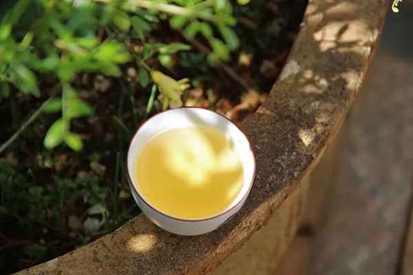 普洱茶越苦澀就代表品質(zhì)越好嗎？