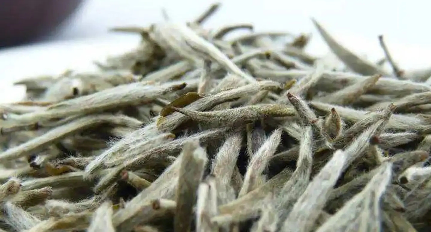 茶毫越多的茶，品質(zhì)就越高嗎？