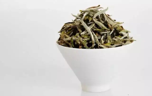 白毫知多少，有白毫的茶葉一定好嗎？