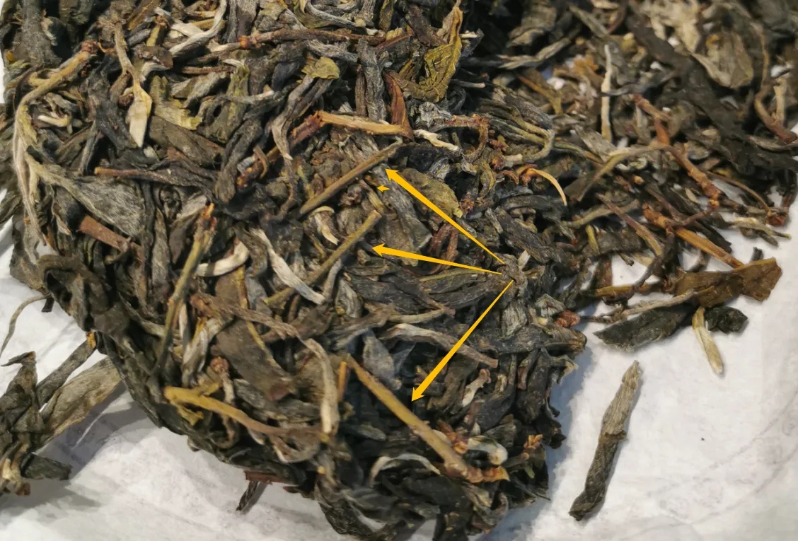 普洱茶的葉底有茶梗，就是茶不好嗎？