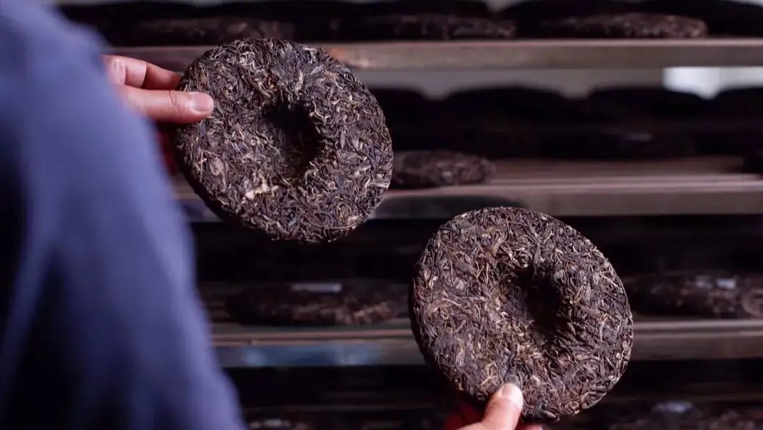 喝茶人都關心的普洱熟茶4大超核心問題！