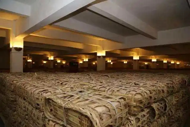 云南古樹普洱茶好在哪？相比小樹茶、臺地茶有何不同？