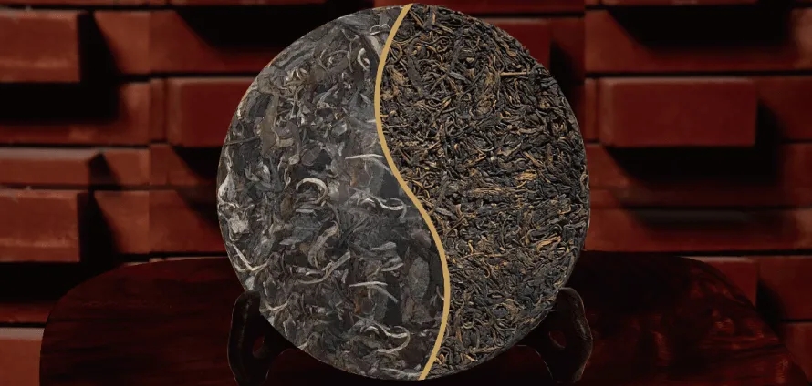 一入普門深似海？入普洱門前，你需要了解這些