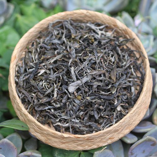 2023年班盆老寨古樹春茶特點？