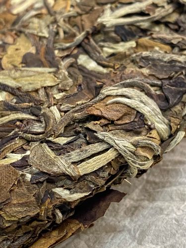 2023年拔瑪老寨古樹春茶特點是什么？