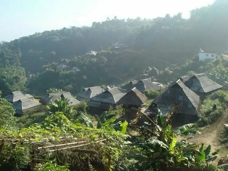 2023年帕沙古樹(shù)春茶多少一公斤？