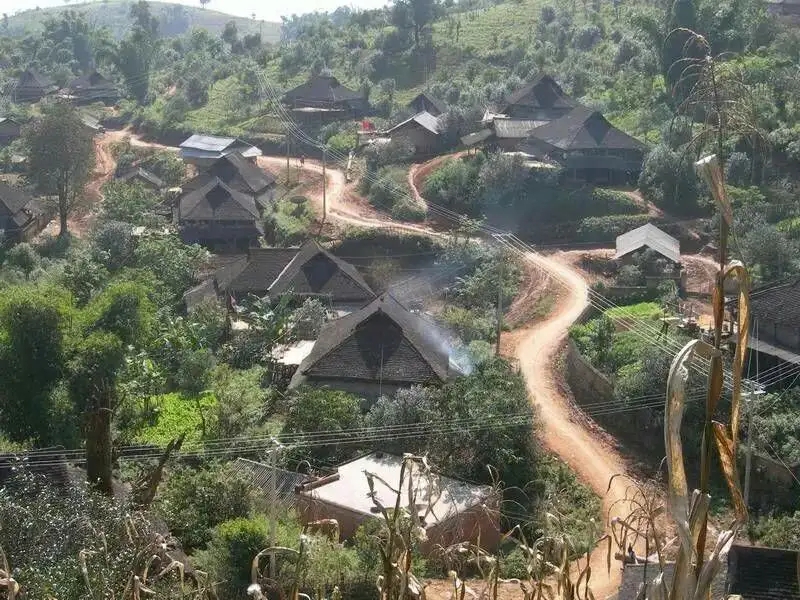 2023年保塘老寨古樹(shù)春茶品質(zhì)如何？