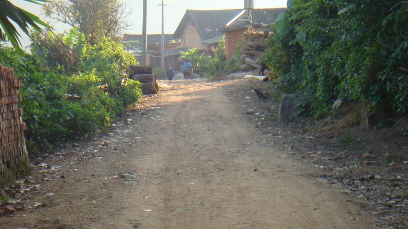 2023年保塘老寨古樹(shù)春茶價(jià)格是多少？