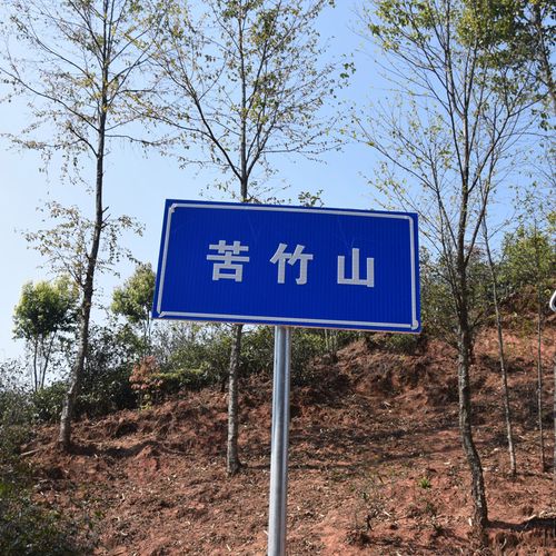 2023年苦竹山古樹(shù)春茶品質(zhì)如何？