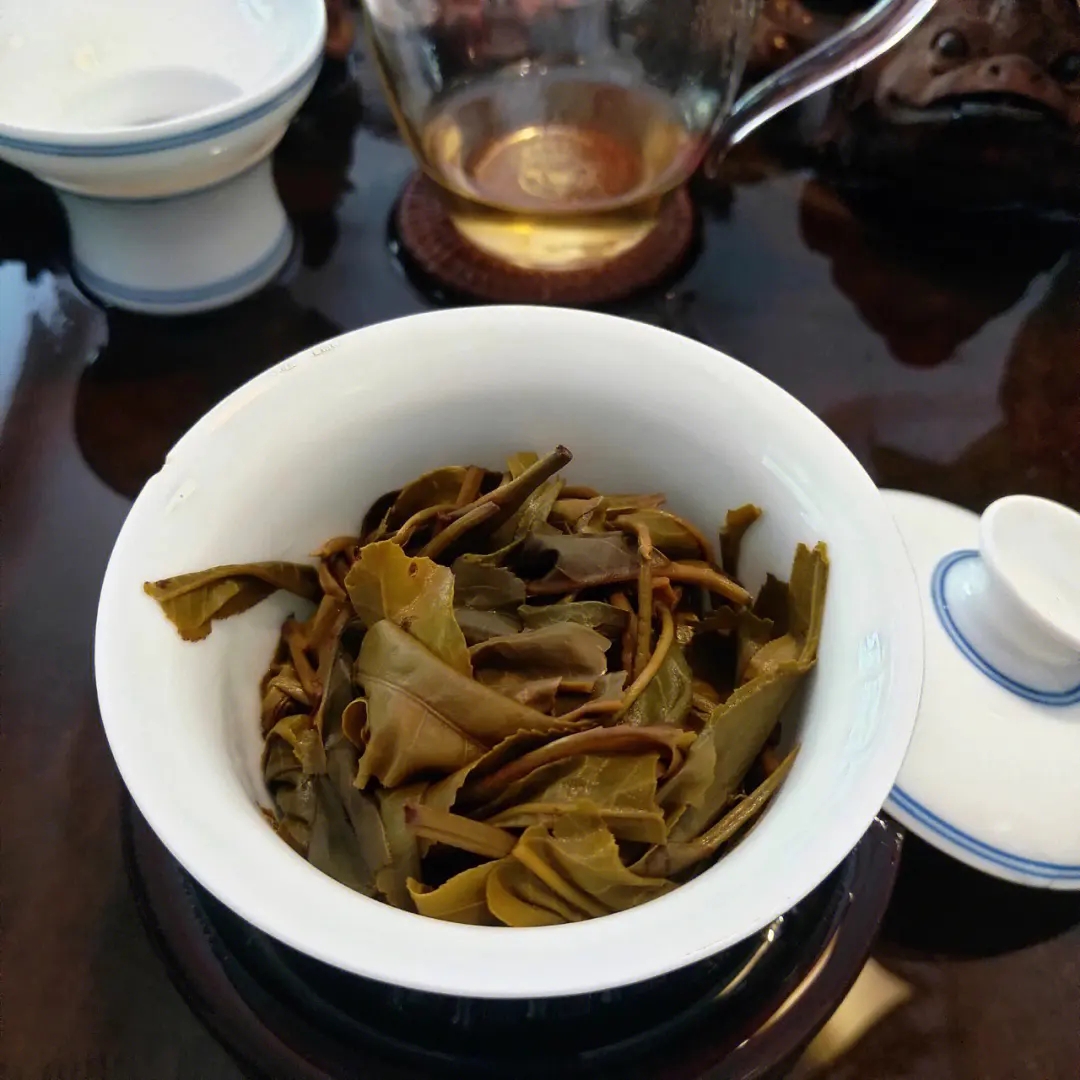 2023年昔歸古樹春茶口感如何？