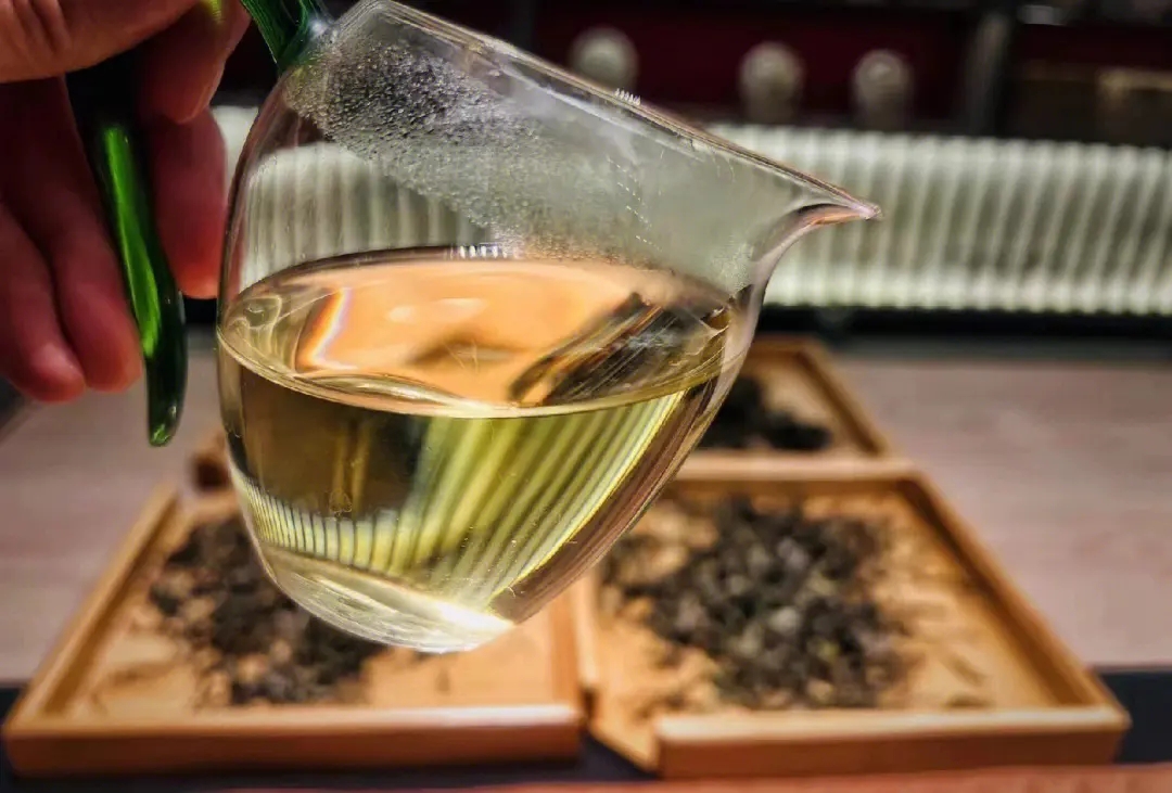 2023年鳳凰窩古樹春茶價(jià)格是多少？