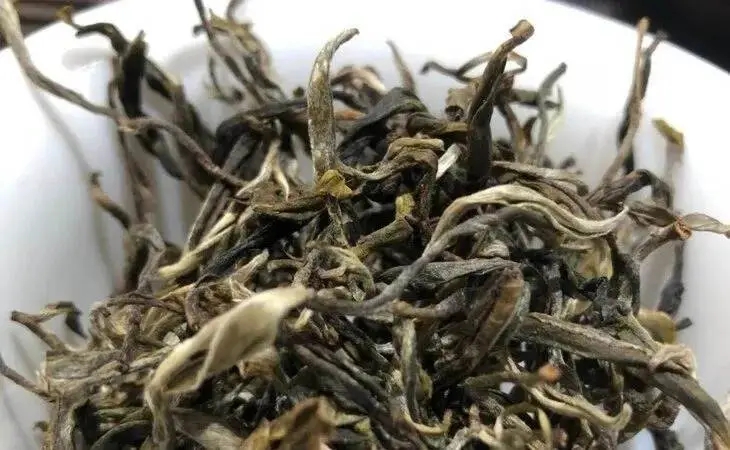 2023年鳳凰窩古樹春茶多少一公斤？