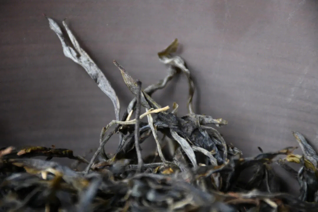 2023年正氣塘古樹春茶多少一公斤？