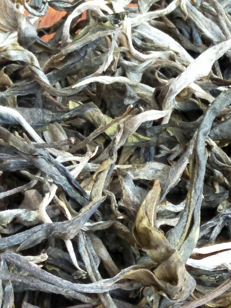 2023年壩歪古樹春茶價格是多少？