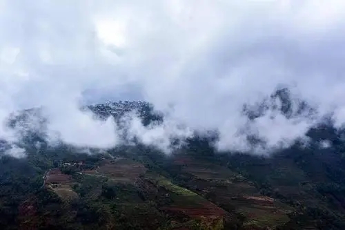 2023年勐庫大忠山古樹春茶口感如何？