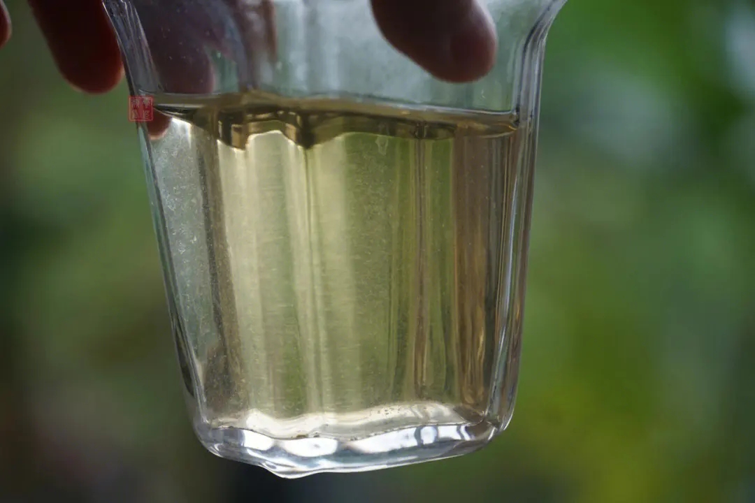 2023年多依樹古樹春茶價格是多少？