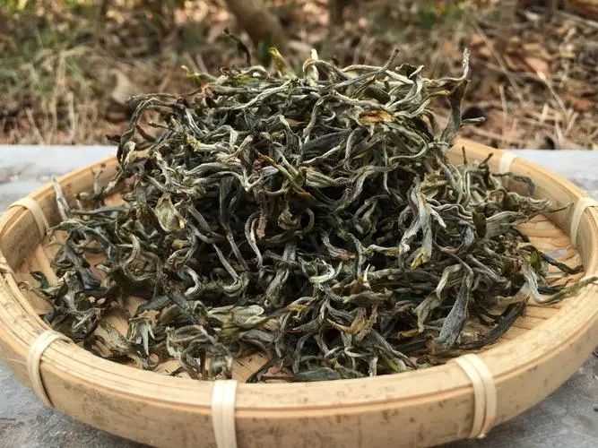 2023年易武張家灣古樹(shù)春茶品質(zhì)如何？